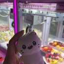 낙원게임장 네이버블로그