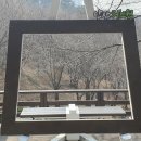 숲속쉼터 네이버블로그