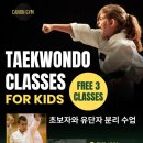 캐논태권도장 이미지
