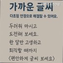 밝은미소안경원 이미지