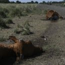 조성호농장 이미지