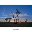 마음목장 이미지