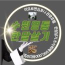 심포니 관광호텔 이미지