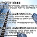 애플카드포스 이미지