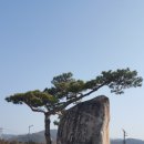 내동마을영농조합법인 이미지