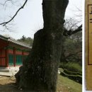 수원-1781 이미지