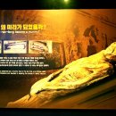 송절2구 이미지