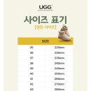 프리지아직구