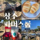 대구 근교 아이랑 동물체험 | 상주 파머스룸 목장 먹이주기 &amp; 카페 후기