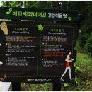 숲어울림치유연구소