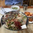 중노 | [두근두근 제주도 여행] 가을 동쪽 제주 1박2일 여행