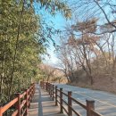 아마티커피 이미지