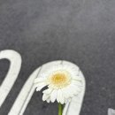 국가철도공단수도권본부 | 국가철도공단 인턴 합격 후기(2025년 국철공, 자소서, 서류)