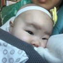 수민동물병원 이미지