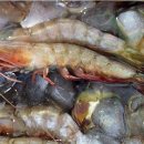 백사장 펜션 이미지