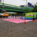 리틀K타이거즈 태권도장 이미지