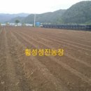 성진농장 이미지