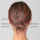 풍지혈 천주혈 이미지