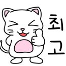 담양버치