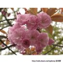 황금열쇠 - 양산시 황산로 613 | 황금열쇠