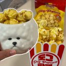 써니도그 | [카톡선물후기] 강아지 간식 스너플 도그 팝콘 솔직 후기