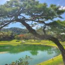 KGA명품 | "청주 세레니티CC 라운드 후기 - 폭염 속 극기 훈련 같은 여름골프 생생 후기