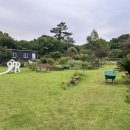 완연한청수 이미지