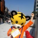 인형의 거리(호랑이 이미지