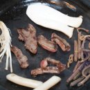 진한세원