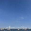 바다호호복국 네이버블로그
