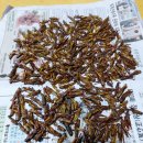 오촌농장 이미지