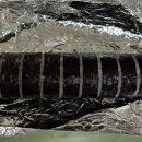 삼형제김밥 목동점