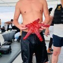 다니엘과 함께하는 색소폰여행 | [세부] 5박6일동안 호핑투어 3번한 후기((한바다호핑/ 골드호핑/ 아이랑 함께/ 사진 많아요ㅠㅠ))