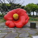 제주미즈리 - 제주시 용마서길 25-1 | 제주미즈리