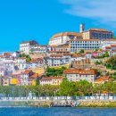 성모카써비스 이미지