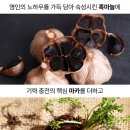 우리몸애 이미지