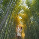 영산강뚝방길 | 전남 담양 가볼만한곳 죽녹원 메타세콰이어길 담양 여행 코스