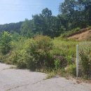 지에스 25 용인명지대점 이미지