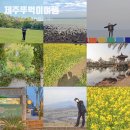 버스정류장 07-169 | 제주 뚜벅이여행 팁공유 가볼만한곳 맛집 카페 짐보관 정리