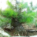 한솔농원 이미지