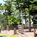 국민여가캠핑장 주차장 이미지