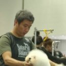 이끌리개 이미지