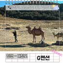 세명주유소 | 인천 섬 여행 추천! 대청도 유일한 애견 동반 숙소 G펜션 렌터카