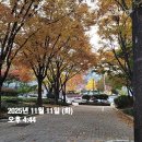 세븐일레븐신동중앙점 | 건강한 식습관 쐐리 박고 타인에게 나눔하기 바쁜 일상