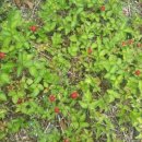 용모농장 이미지