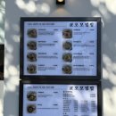 진주 칠암동맛집 쿄오모덮밥 재방문해서 연어덮밥, 차슈덮밥, 튀김 4종 먹고 왔어요