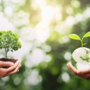 남구-022 이미지