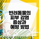 가야동물병원 이미지