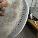 개목욕탕 이미지