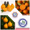 종철농장 이미지